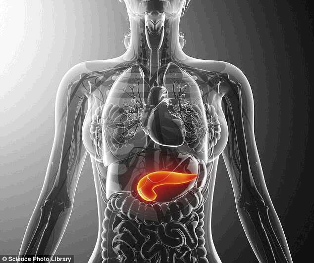 Artificial Pancreas Removes Blood Sugar Worries