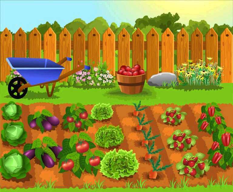 4 Ways Gardening Can Help Improve Diabetes
