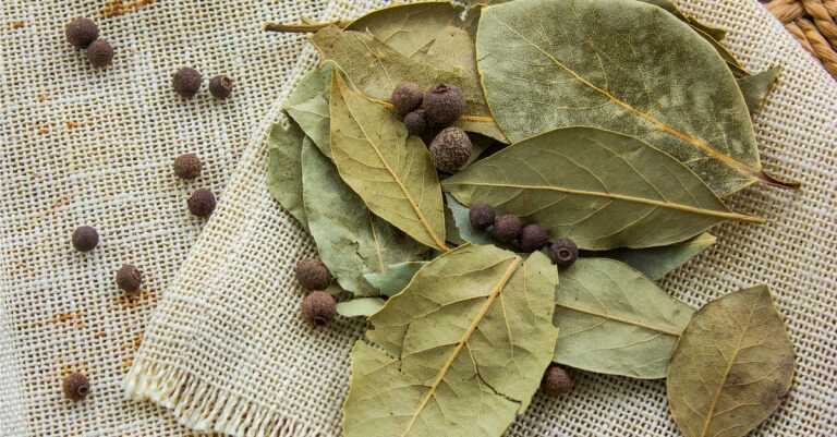 5 Diabetic Reasons Why You Should Add a Bay Leaf to Your Meals