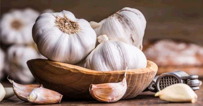 5 Reasons Why Diabetics Should Love Garlic