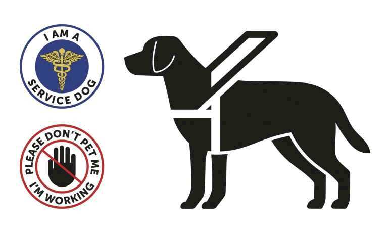 Diabetes Alert Dogs: When Should You Get a Service Animal?