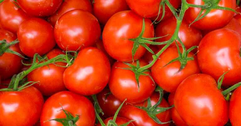 5 Ways Tomatoes Are Good for Diabetics