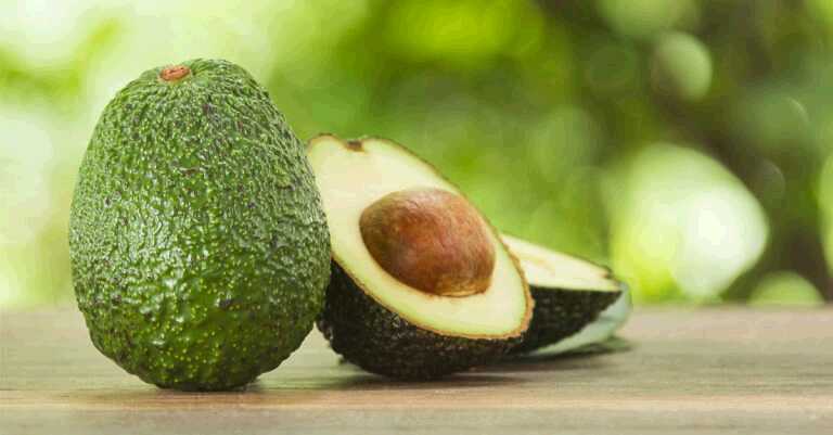 Avocados as Part of a Healthy Diabetes Diet (Recipe Included)