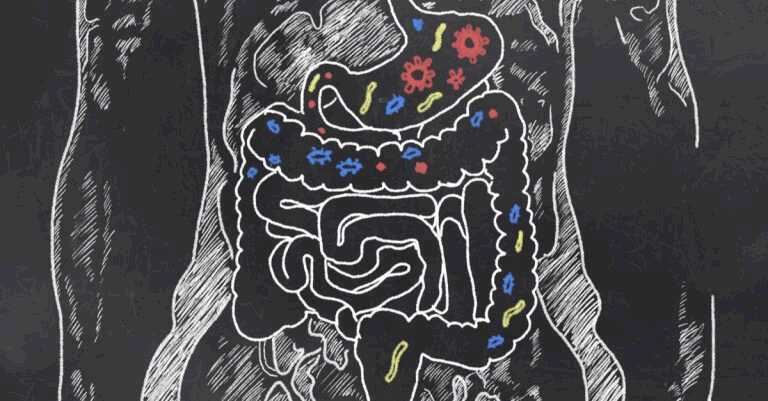 Invasive Gut Bacteria Linked To Metabolic Diseases