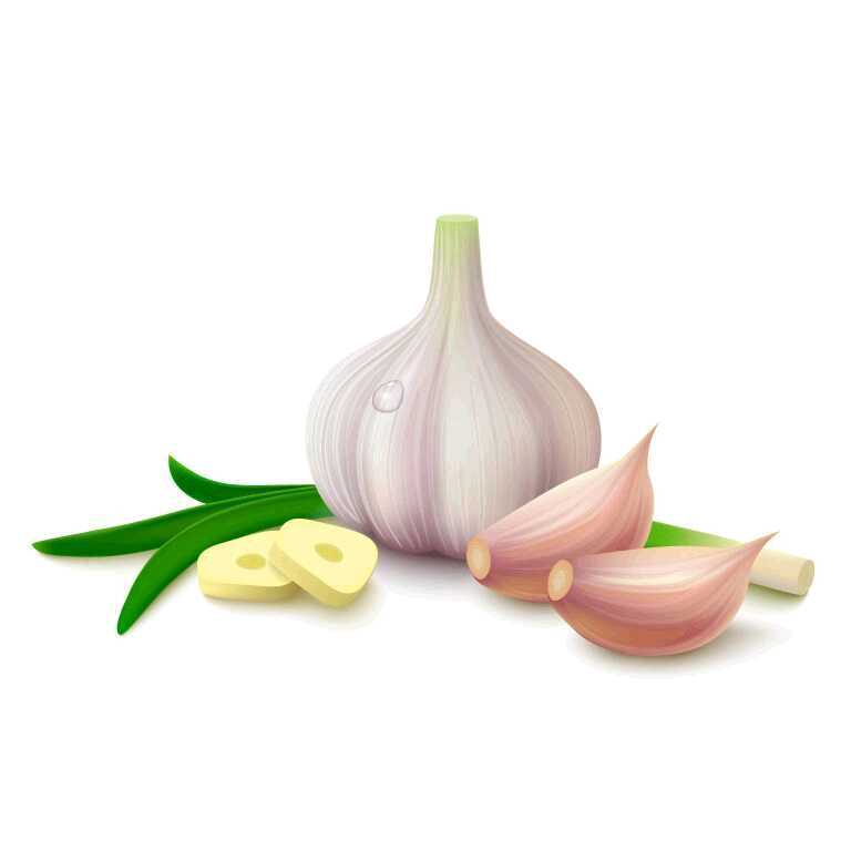 Embrace the Breath: 4 Reasons Diabetes Patients Should Use Garlic