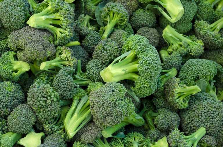 Eat Your Veggies – Broccoli Could Help with Diabetes