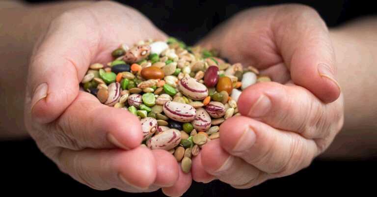 Diabetes & Diet: The Benefits Of Beans