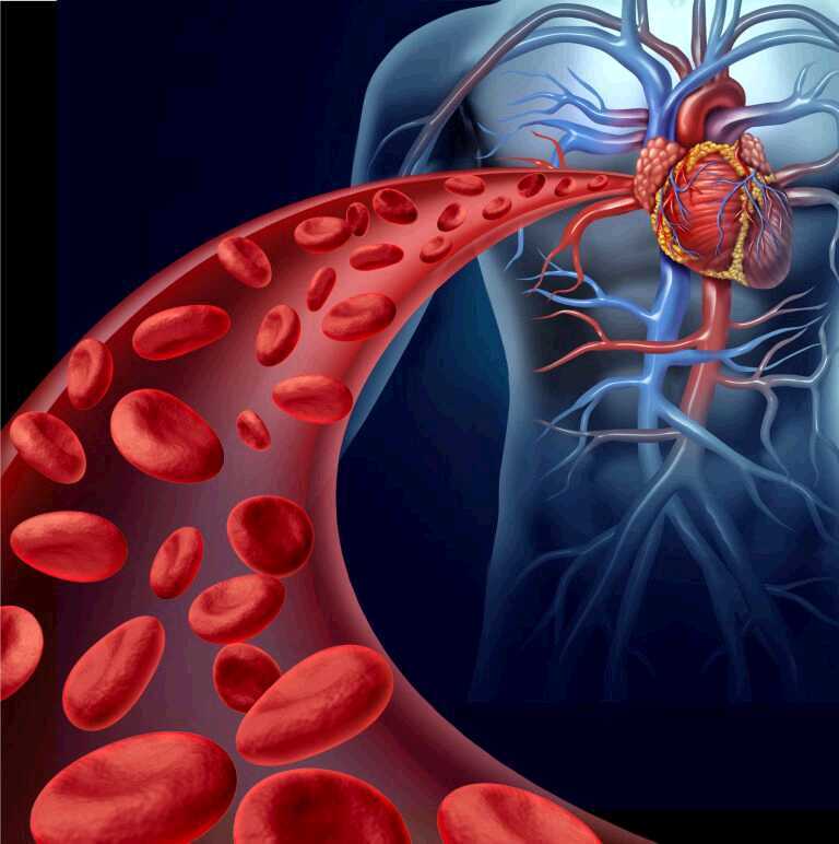 What Does Diabetes Do To Your Cardiovascular System?