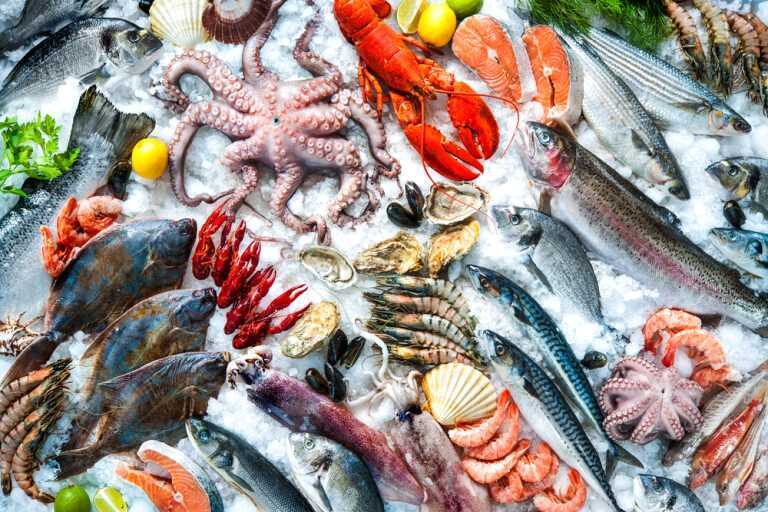 Finding Fish – A Diabetic’s Guide to Seafood