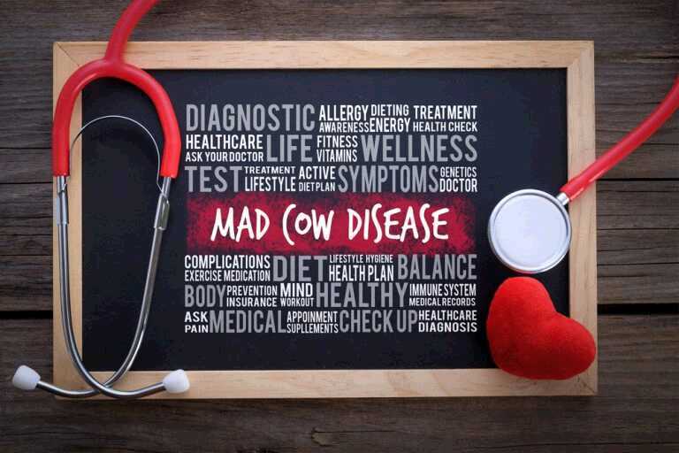 Type 2 Diabetes and Mad Cow Disease: What’s Similar Between Them?