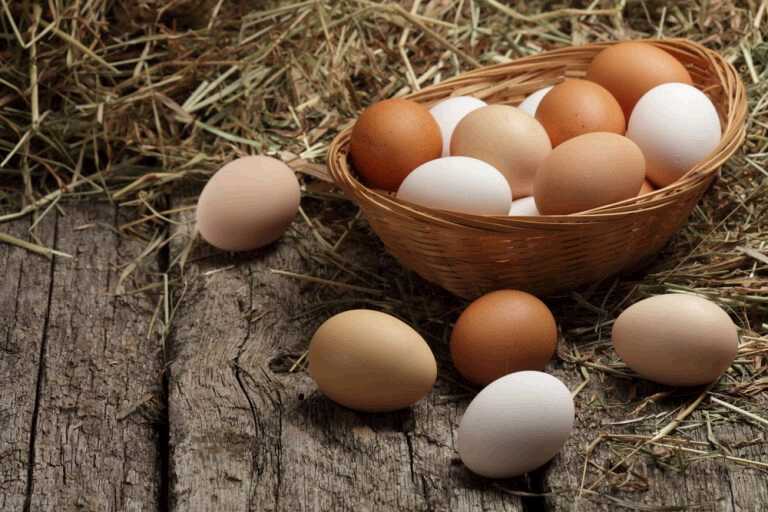 Are Eggs Good for Diabetics?