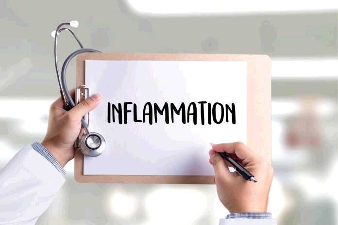 Diabetes & Health: Research Finds a Protein That Controls Inflammation