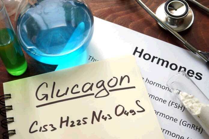 The Roles of Glucagon and Insulin in Diabetes