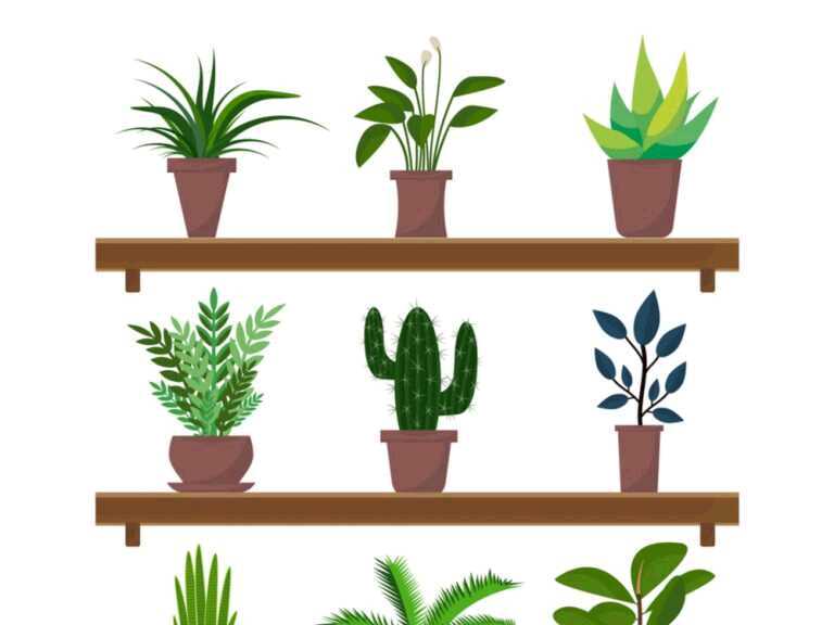Why Every Diabetic Should Have Houseplants
