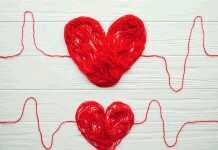 Does Postprandial Hyperglycemia Indicate Future Heart Problems